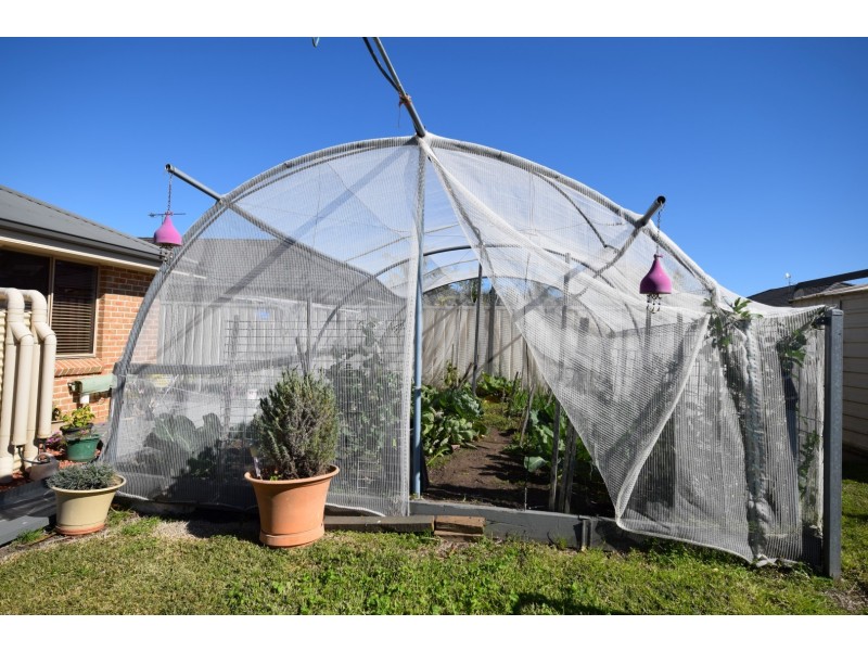 36 Mintbush Crescent, Worrigee NSW 2540