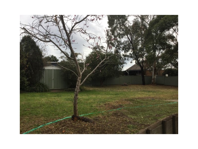 7 Isa Rd, Worrigee NSW 2540