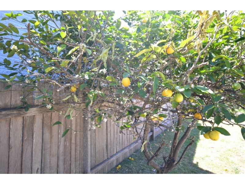 261 Illaroo Road, North Nowra NSW 2541