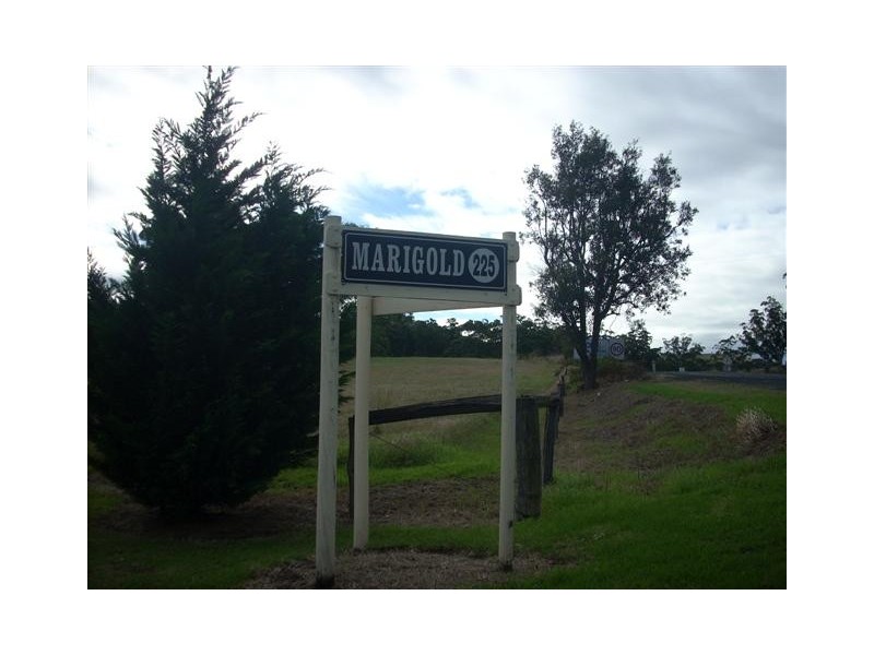 225 Princes Hwy – MARIGOLD, Berry NSW 2535