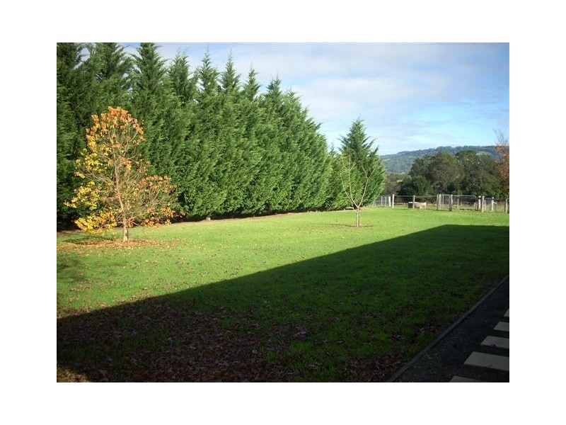 225 Princes Hwy – MARIGOLD, Berry NSW 2535