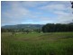 225 Princes Hwy – LAND, Berry NSW 2535