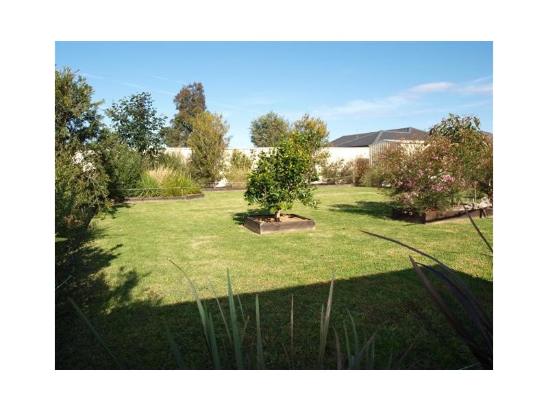 22 GUINEA FLOWER  CRESCENT, Worrigee NSW 2540