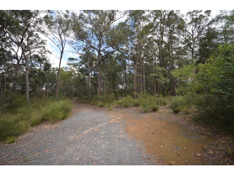 50A (Lot 12) Lilly Pilly Lane, Tapitallee NSW 2540