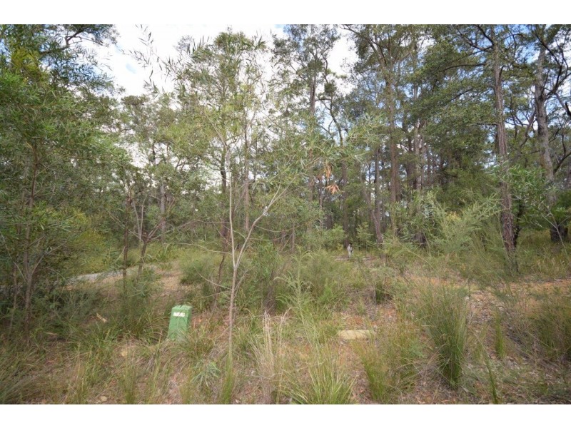 50A (Lot 12) Lilly Pilly Lane, Tapitallee NSW 2540