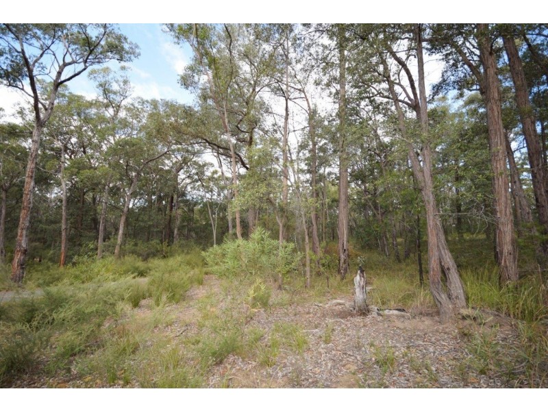 50A (Lot 12) Lilly Pilly Lane, Tapitallee NSW 2540