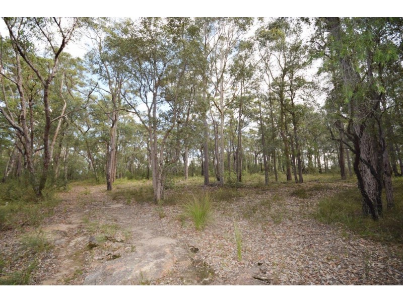 50A (Lot 12) Lilly Pilly Lane, Tapitallee NSW 2540