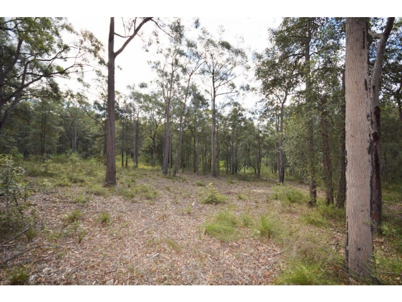 50A (Lot 12) Lilly Pilly Lane, Tapitallee NSW 2540