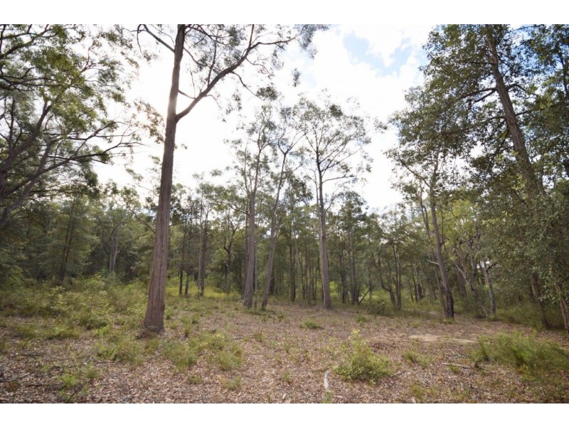 50A (Lot 12) Lilly Pilly Lane, Tapitallee NSW 2540