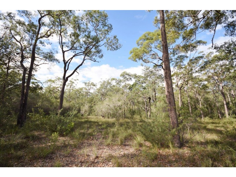 50A (Lot 12) Lilly Pilly Lane, Tapitallee NSW 2540