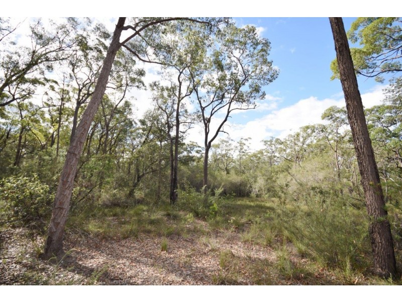50A (Lot 12) Lilly Pilly Lane, Tapitallee NSW 2540