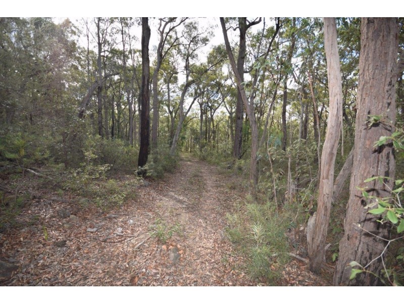 50A (Lot 12) Lilly Pilly Lane, Tapitallee NSW 2540