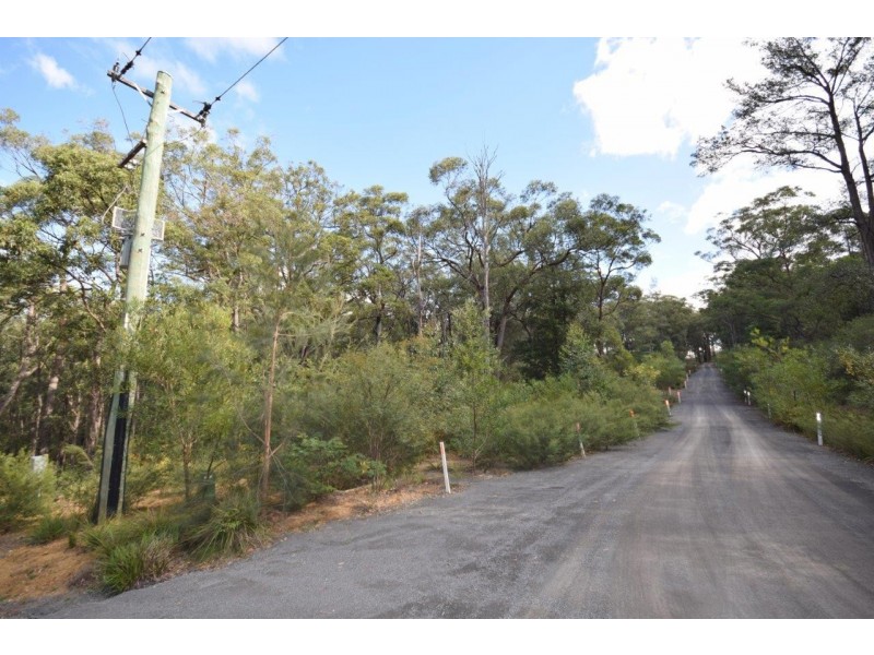 50A (Lot 12) Lilly Pilly Lane, Tapitallee NSW 2540