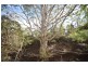 10 Greendale Close, Nowra Hill NSW 2540