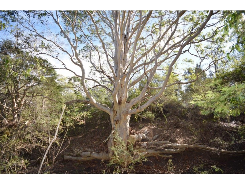 10 Greendale Close, Nowra Hill NSW 2540