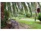 20 Cocos Palm Drive, Bomaderry NSW 2541