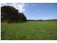 Lot 11 DP 1222172 Bournes Lane, Pyree NSW 2540