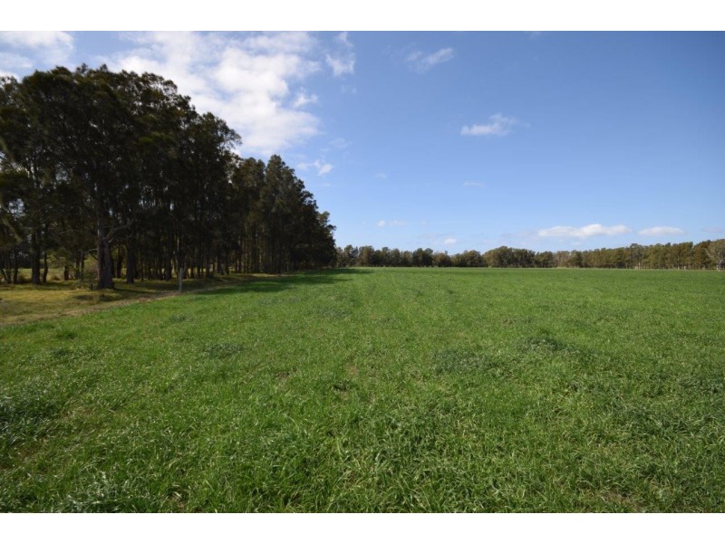 Lot 11 DP 1222172 Bournes Lane, Pyree NSW 2540