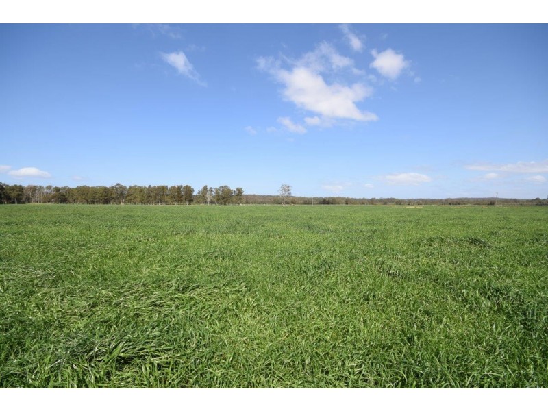 Lot 11 DP 1222172 Bournes Lane, Pyree NSW 2540