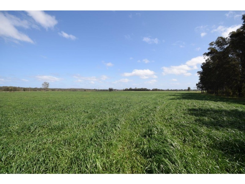 Lot 11 DP 1222172 Bournes Lane, Pyree NSW 2540