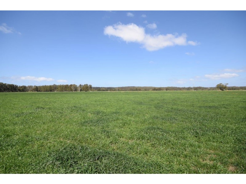 Lot 11 DP 1222172 Bournes Lane, Pyree NSW 2540