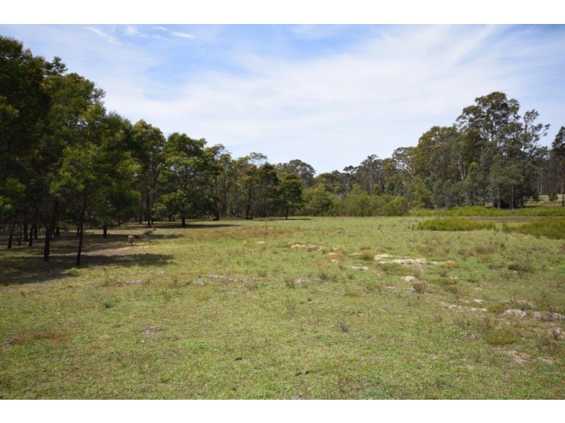 Lot 304 Swanwood Rise, Worrigee NSW 2540