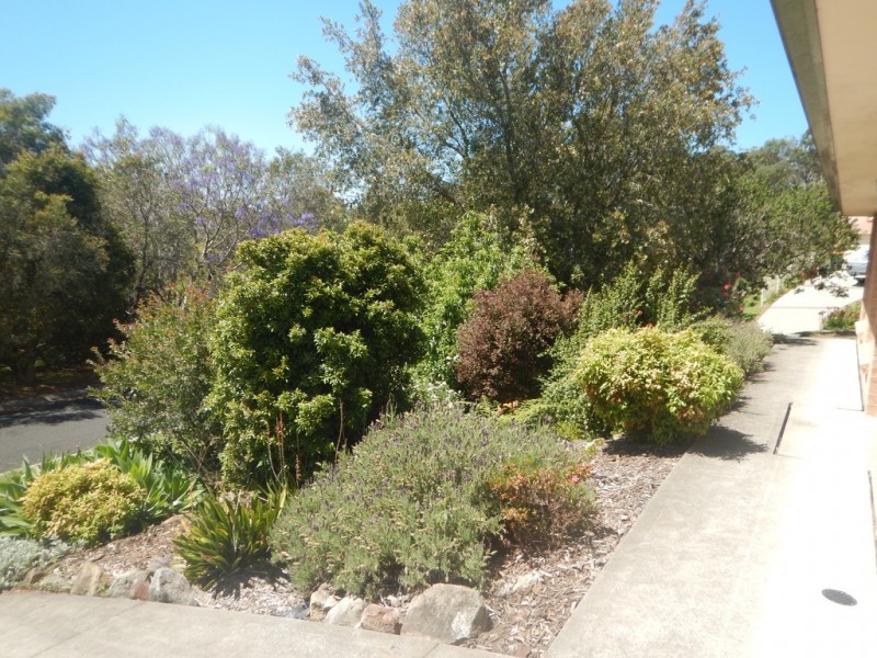 11 Nundah Close, Bomaderry NSW 2541