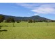 690 Illaroo Road, Tapitallee NSW 2540