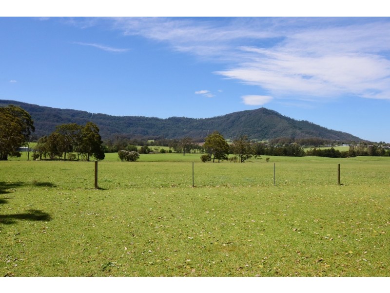 690 Illaroo Road, Tapitallee NSW 2540