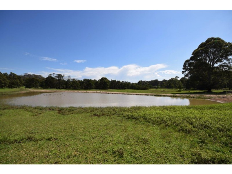 Lot 303 Swanwood Rise, Worrigee NSW 2540
