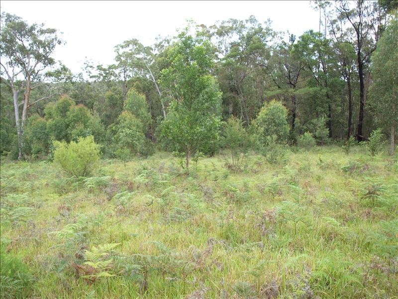 88 Falls Road, Falls Creek NSW 2540