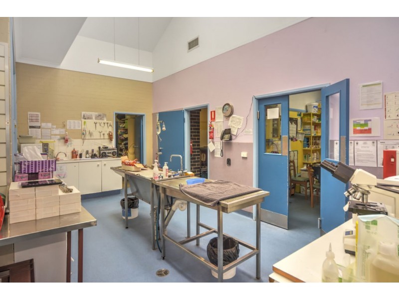 103 Kinghorne Street, Nowra NSW 2541