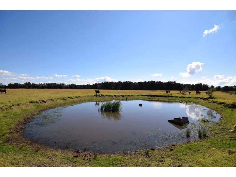 Lot 57 Greenwell Point Road, Pyree NSW 2540