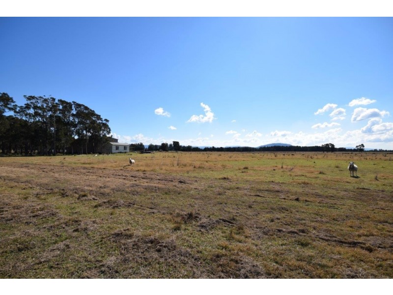 Lot 57 Greenwell Point Road, Pyree NSW 2540