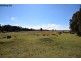 Lot 57 Greenwell Point Road, Pyree NSW 2540
