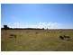 Lot 57 Greenwell Point Road, Pyree NSW 2540