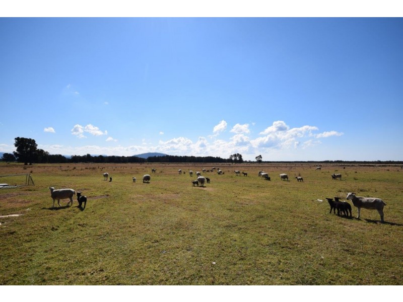 Lot 57 Greenwell Point Road, Pyree NSW 2540