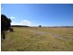 Lot 57 Greenwell Point Road, Pyree NSW 2540