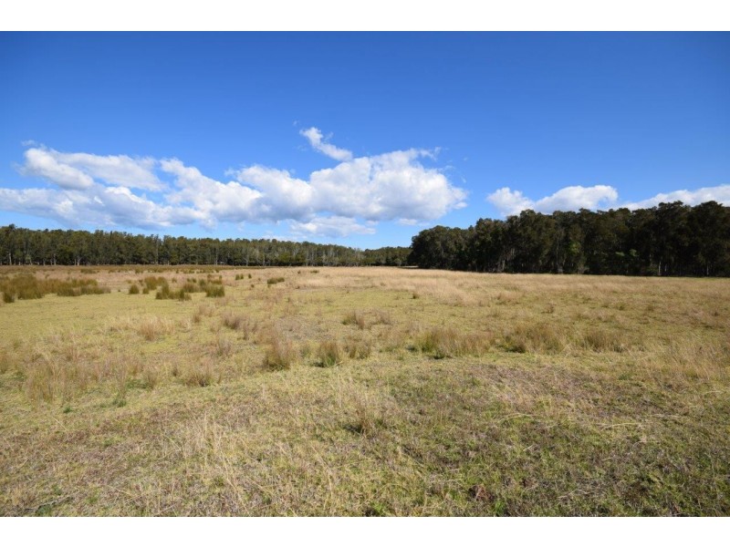 Lot 57 Greenwell Point Road, Pyree NSW 2540