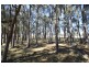 Lot 57 Greenwell Point Road, Pyree NSW 2540