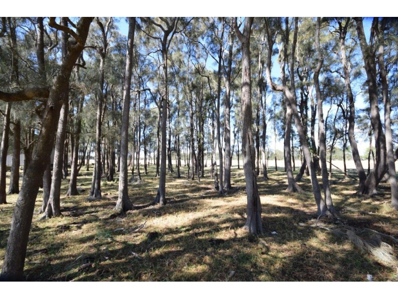 Lot 57 Greenwell Point Road, Pyree NSW 2540