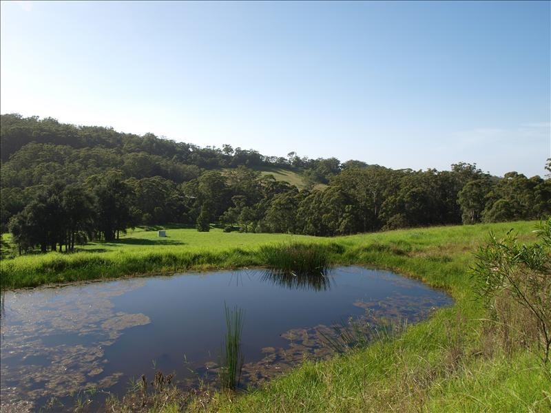 225  Bong Bong Road, Berry NSW 2535