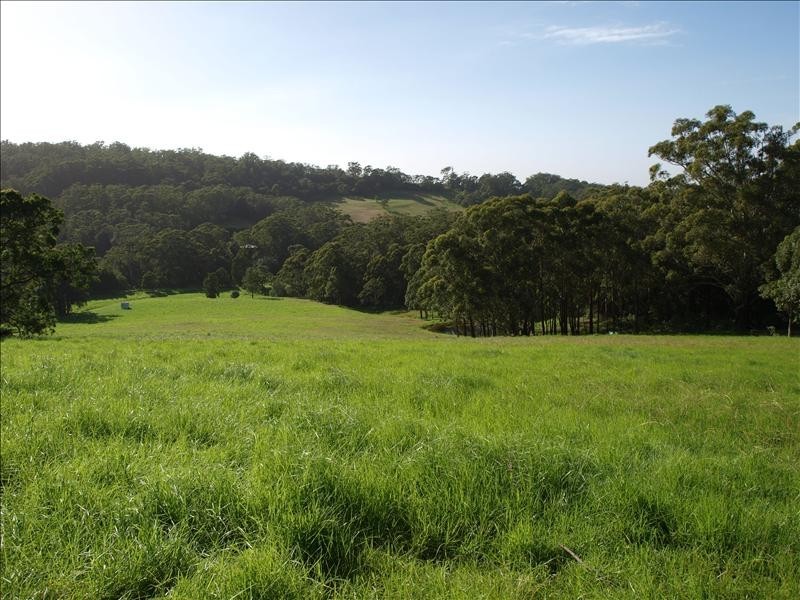 225  Bong Bong Road, Berry NSW 2535