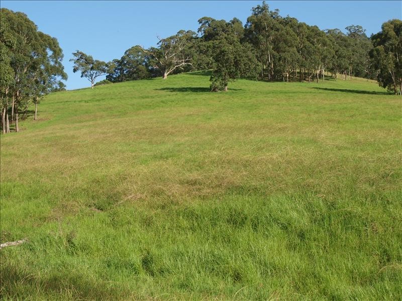 225  Bong Bong Road, Berry NSW 2535