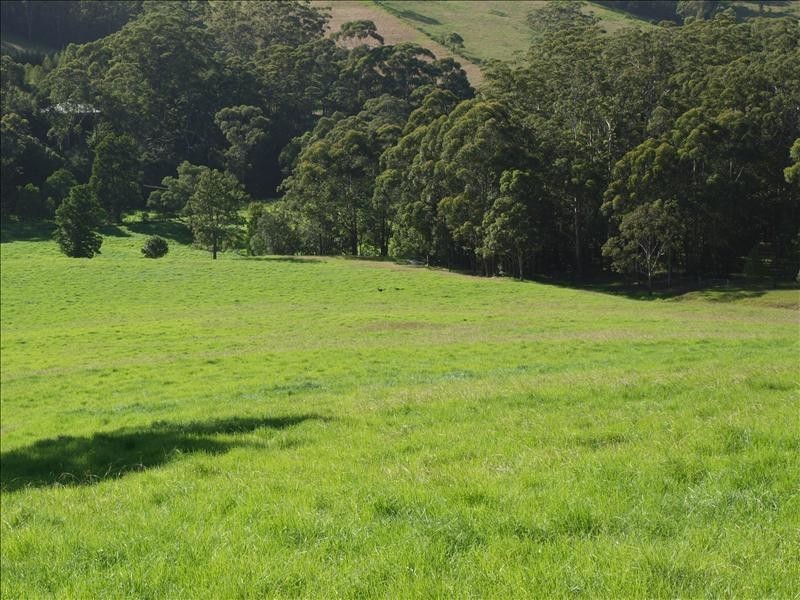 225  Bong Bong Road, Berry NSW 2535