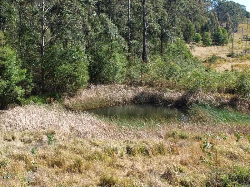 89 Hawken Road, Tomerong NSW 2540