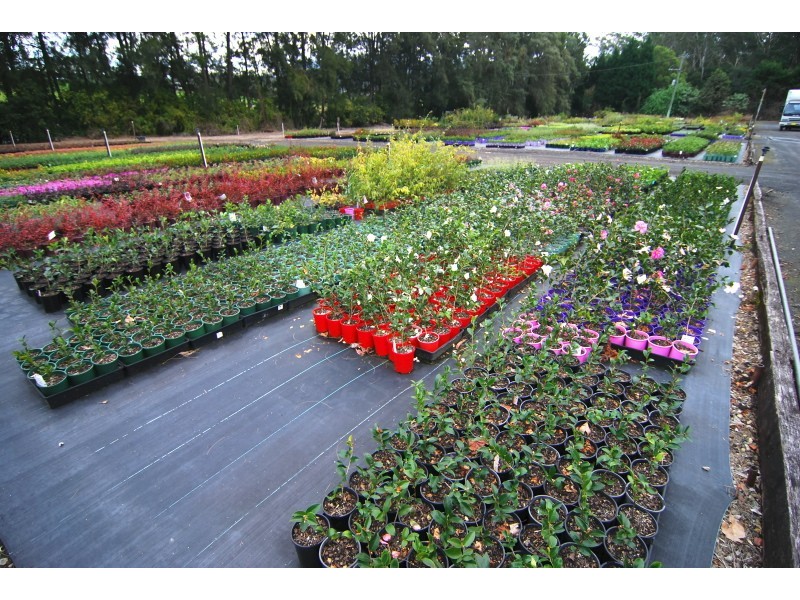 45 Agars Lane, Berry NSW 2535