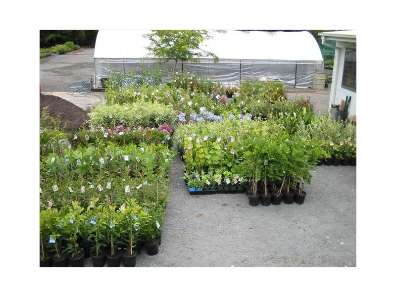 45 Agars Lane, Berry NSW 2535