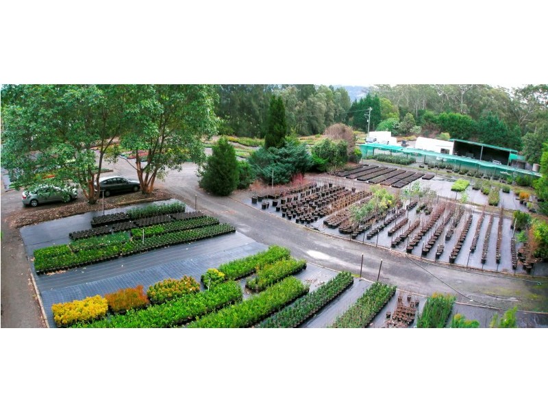 45 Agars Lane, Berry NSW 2535