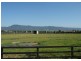 19 Hanigans Lane, Bolong NSW 2540